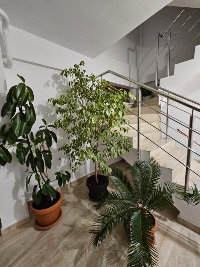 Didi Apartament 克拉奥华 外观 照片